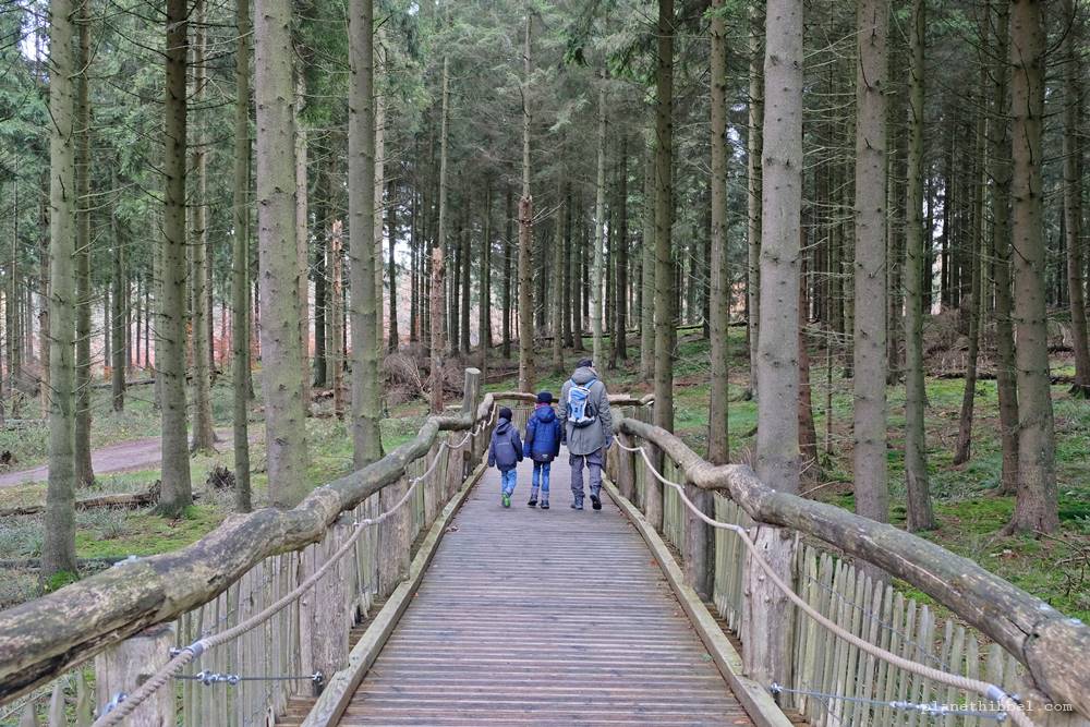 Eifel Highlights Nationalpark Eifel